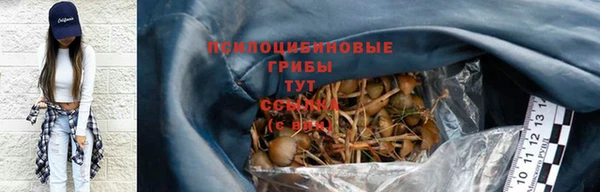бутират Каменка
