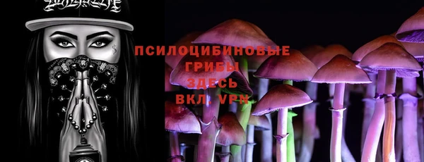 бутират Каменка