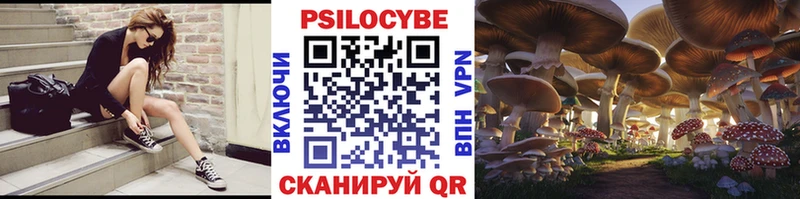 Купить  Магадан  Галлюциногенные грибы Psilocybine cubensis 